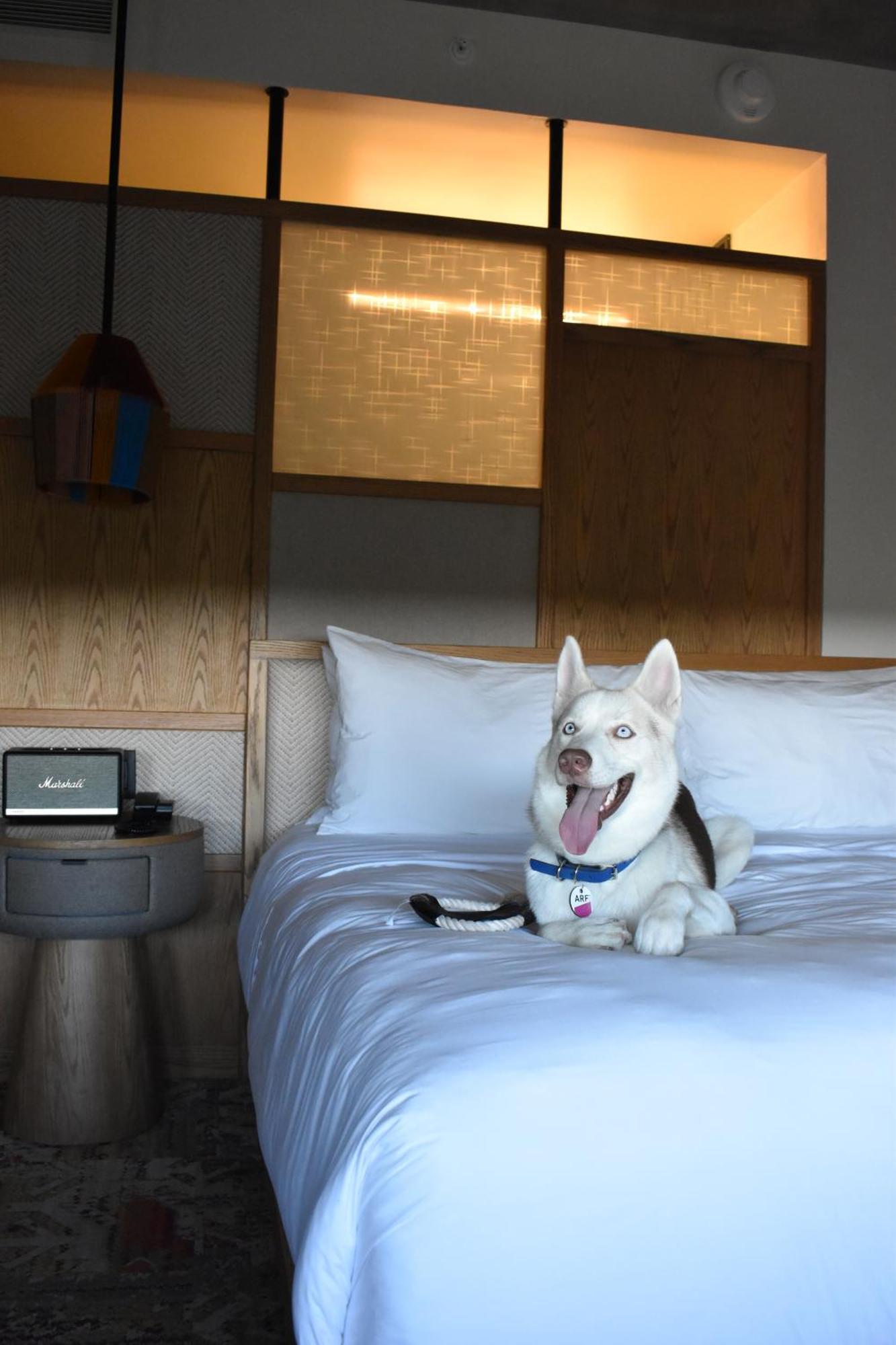 Aloft Tulum Otel Dış mekan fotoğraf